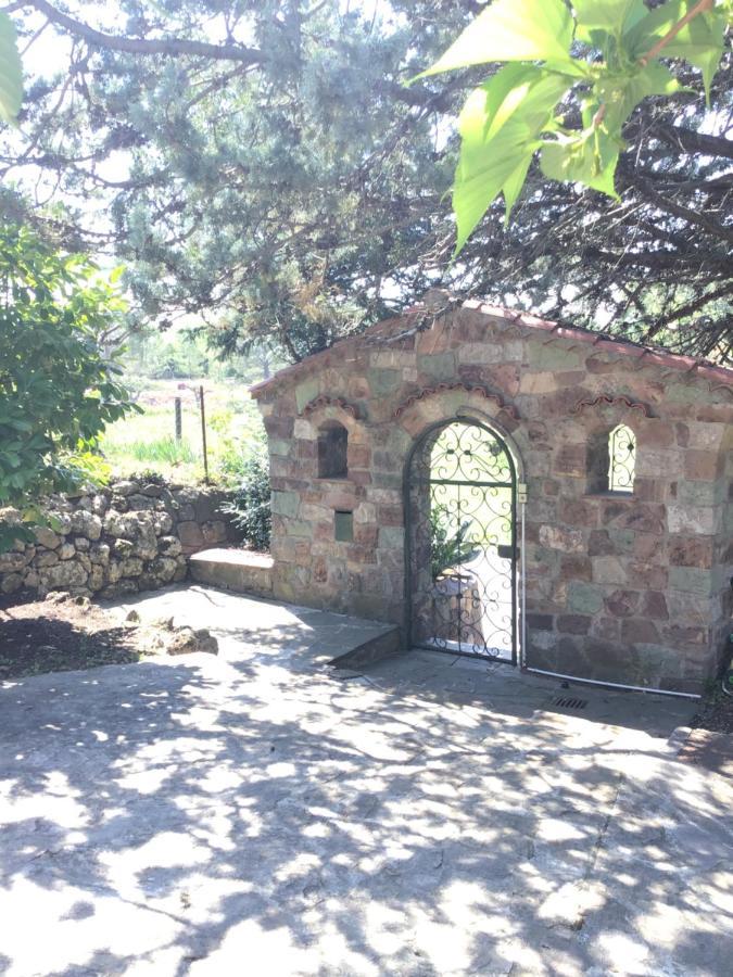 Villa San Marco Chambre D Hotes Lorgues Luaran gambar
